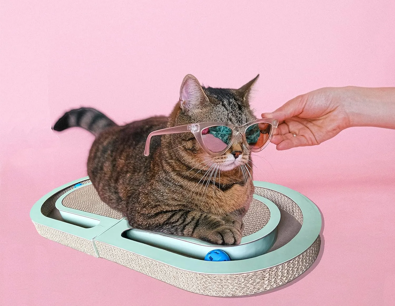 26" Folding Cat Scratch Pad with Chasing Bells