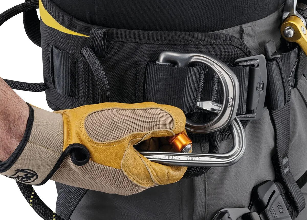 ASTRO International Version Harness - Petzl