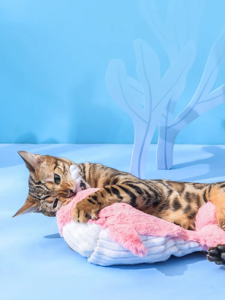 Cat Dancing Flopping Toy