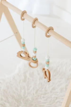 Classic Mint Baby Play Gym