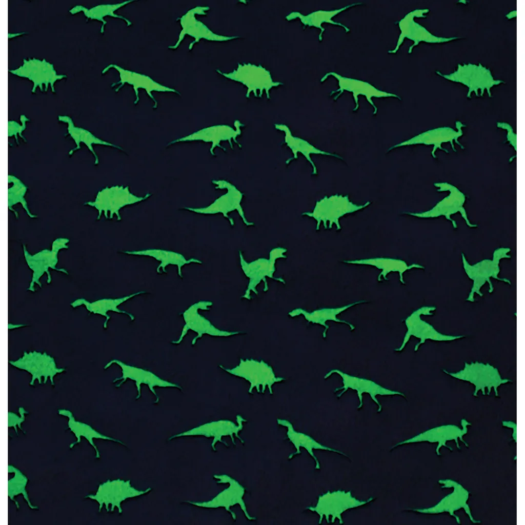 Dinosaur Tracks Glow Sleeping Bag