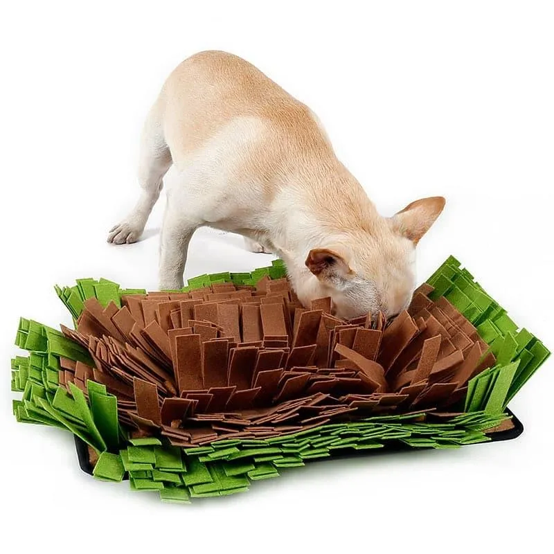 Dog's Sniffing Mat