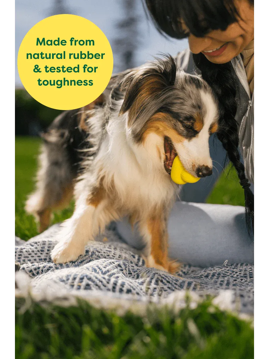 Earth Rated Rubber Fetch Toy