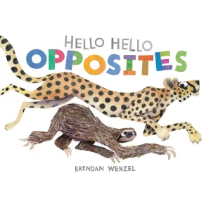 Hello Hello Opposites BB  illustrated by Brendan Wenzel