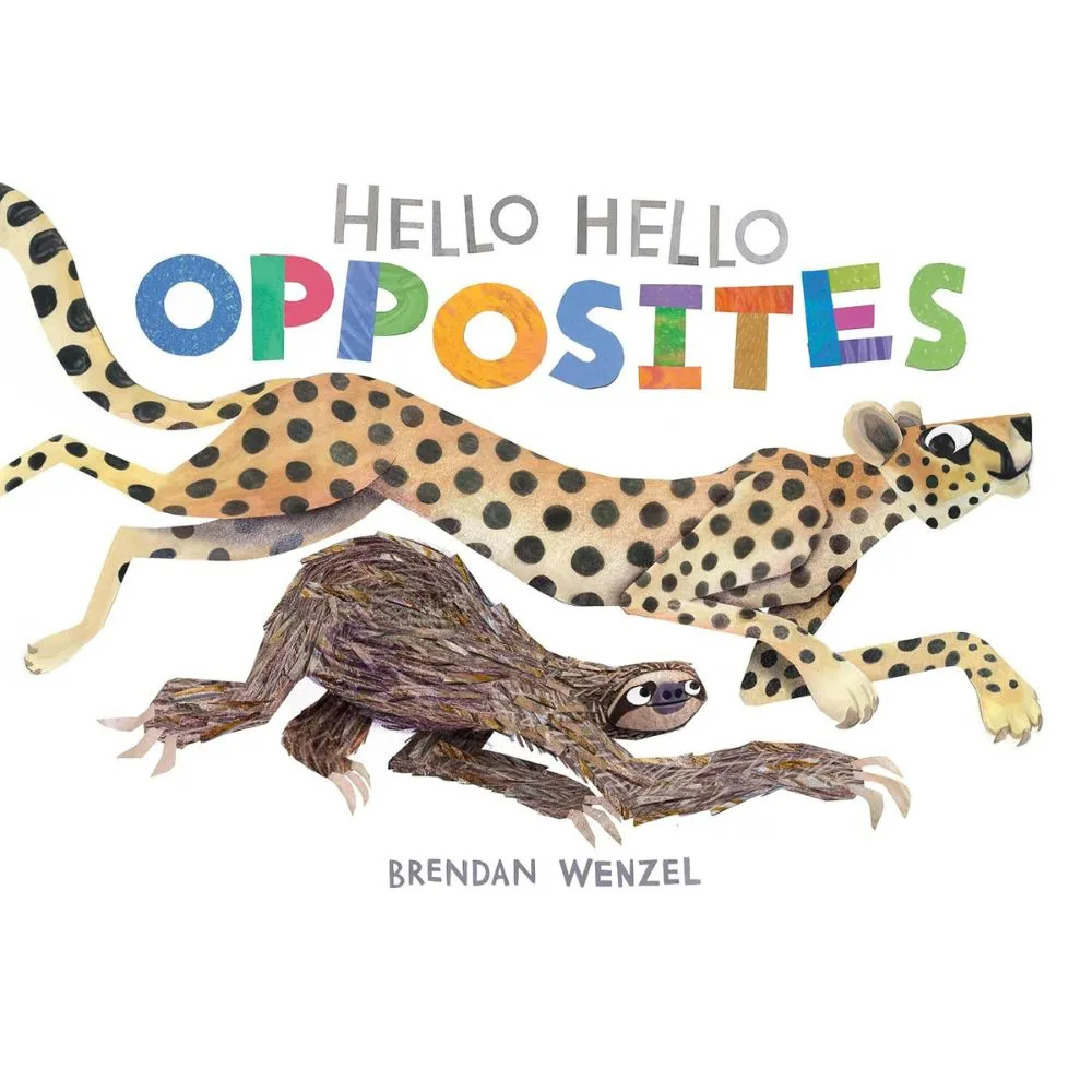 Hello Hello Opposites BB  illustrated by Brendan Wenzel