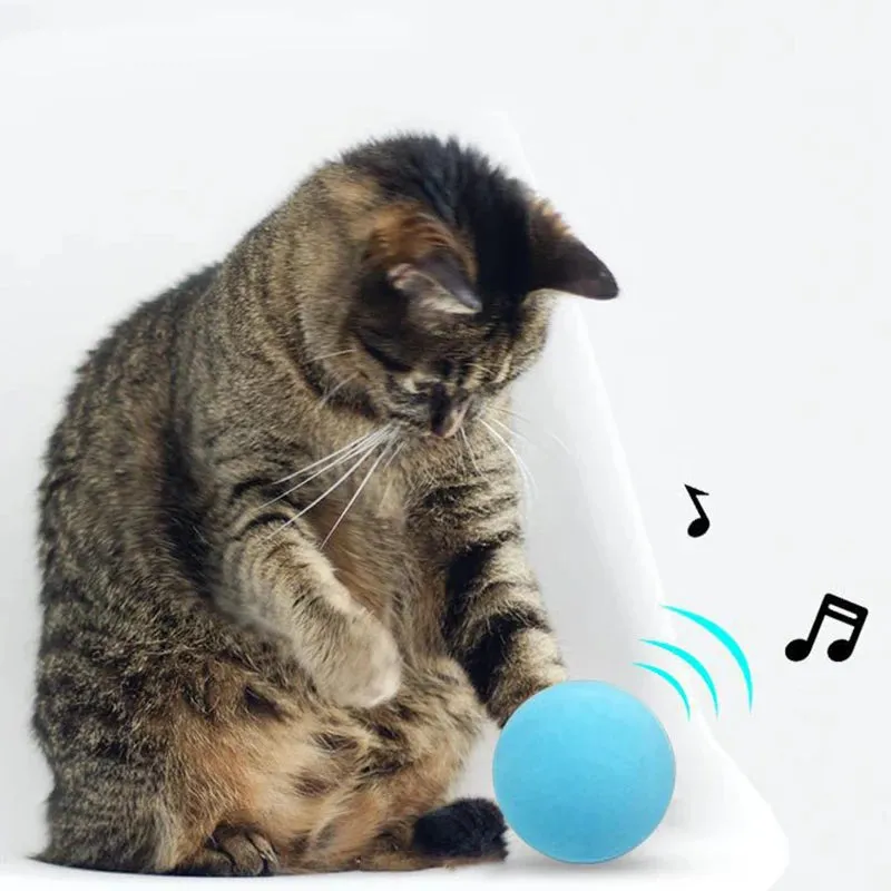 Interactive Animal Sound Balls