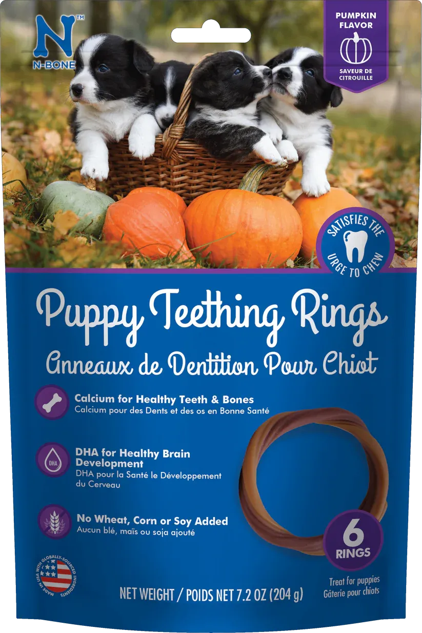 N-BONE PUPPY TEETHING RINGS PUMPKIN FLAVOR