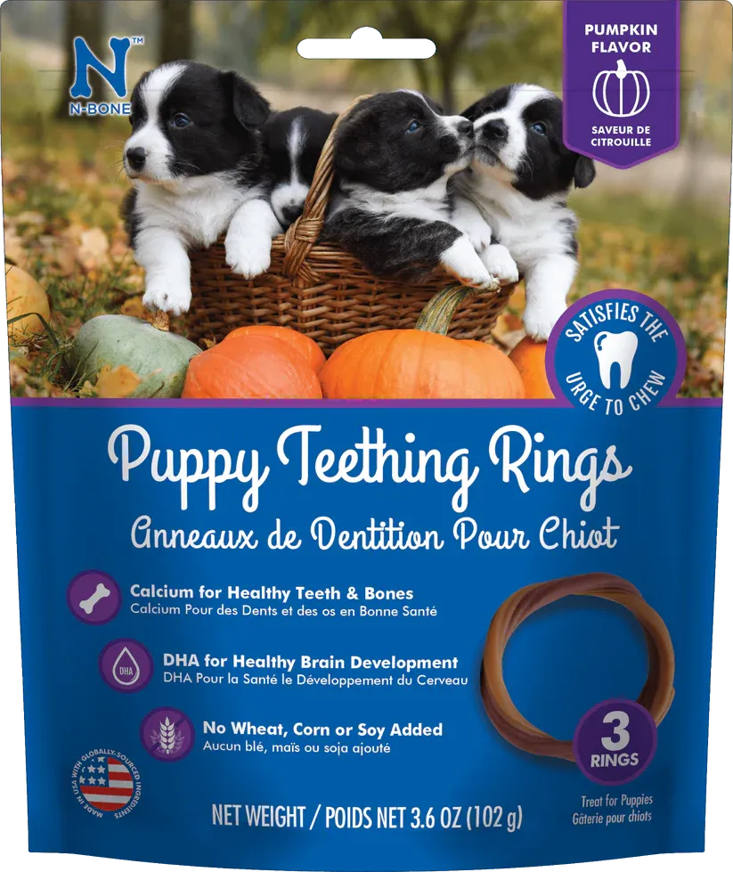 N-BONE PUPPY TEETHING RINGS PUMPKIN FLAVOR