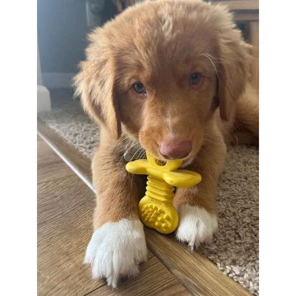 Nylabone Puppy Rubber Teether Vanilla Flavor, Small