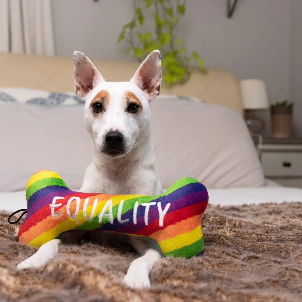 rainbow equality bone toy