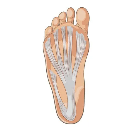 Self-paced Online Home Study 12 CE Foot Reflexology Basics with Advanced Medical Foot Massage