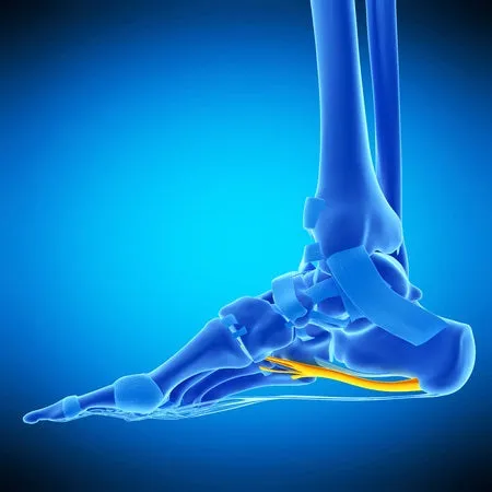 Self-paced Online Home Study 12 CE Foot Reflexology Basics with Advanced Medical Foot Massage